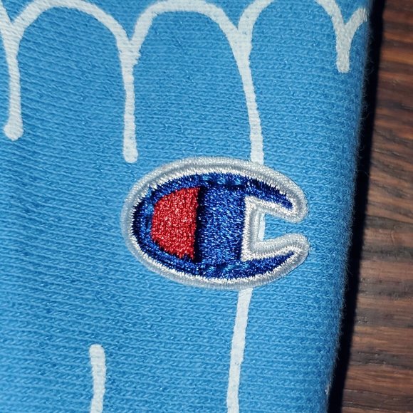 Champion Reverse Weave Bubble Script Letters Hoodie Women's Size Large - Picture 4 of 4